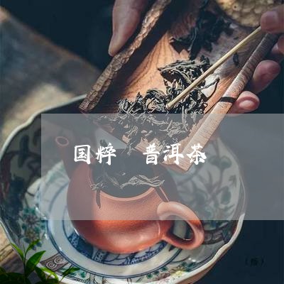 国粹 普洱茶/2023042809421